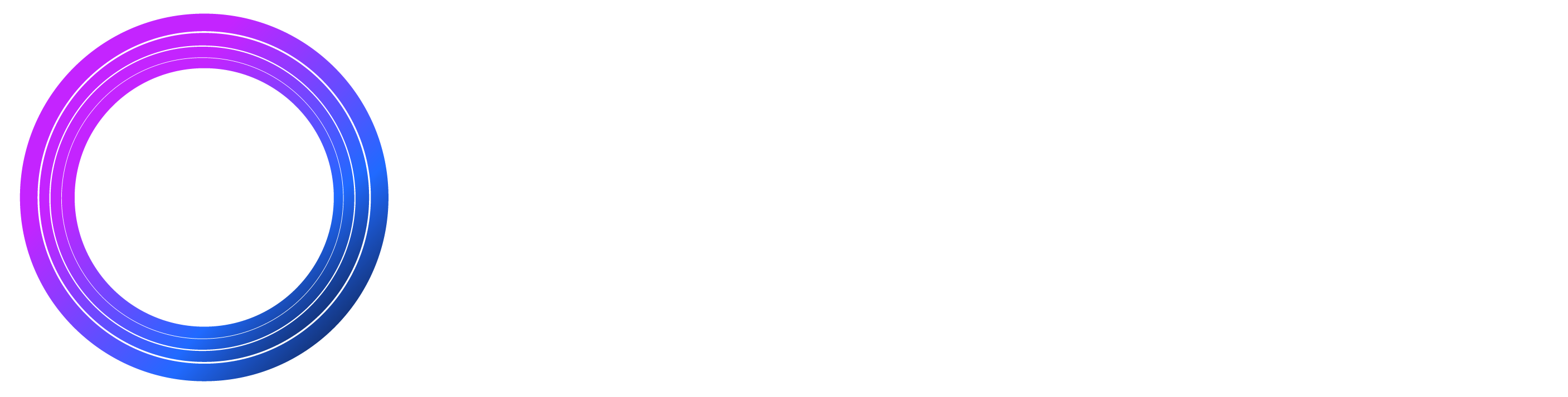 DataCouncil_Logo_Transparent