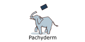 Pachyderm