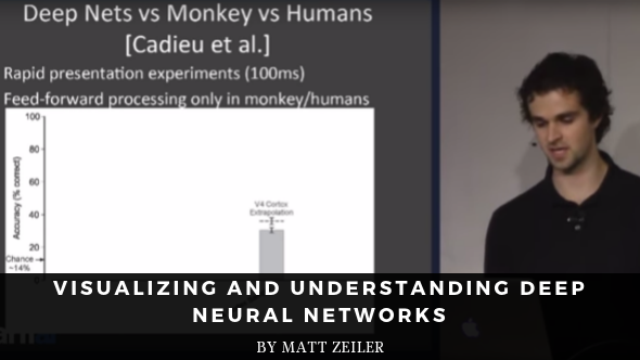 Visualizing and Understanding Deep Neural Networks
